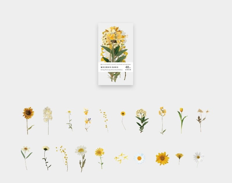 Set Premium "Flores"