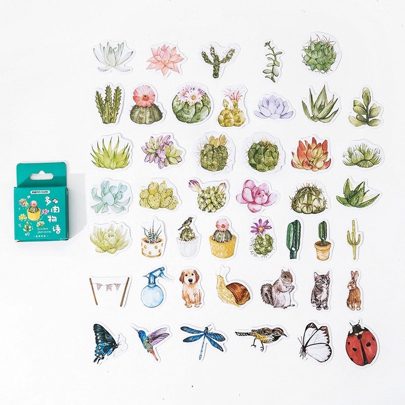 Set Estándar Dots & Verde