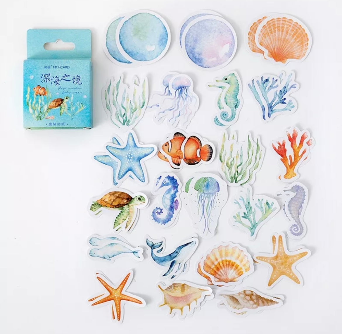 Set Estándar Dots & Aguamarina