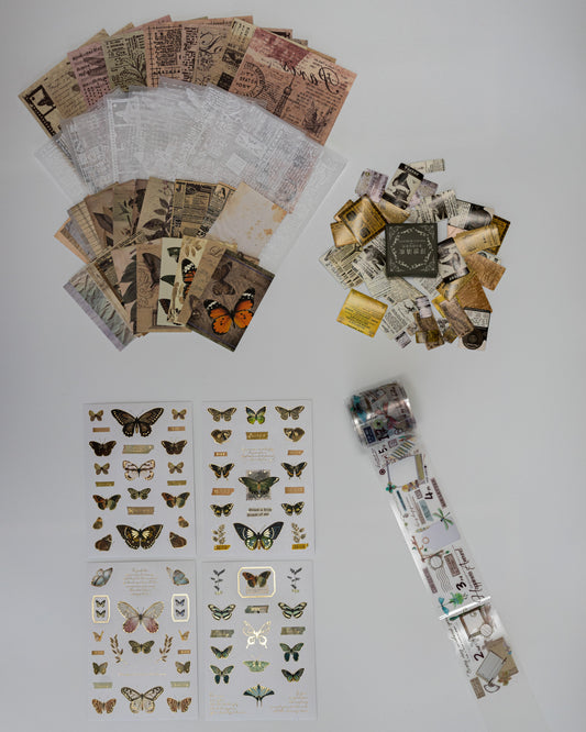 Set Creativo con Washi Roll